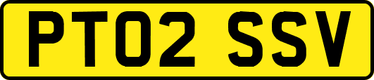 PT02SSV