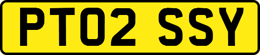 PT02SSY