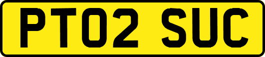 PT02SUC