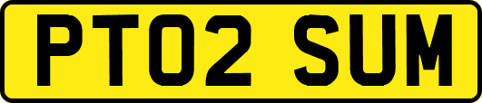 PT02SUM