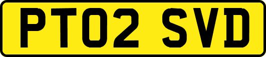 PT02SVD