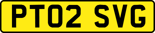 PT02SVG