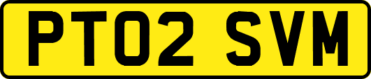 PT02SVM