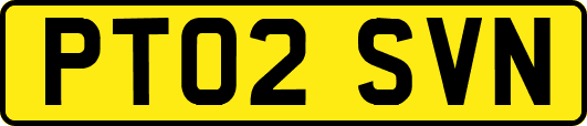 PT02SVN
