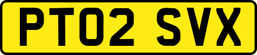 PT02SVX