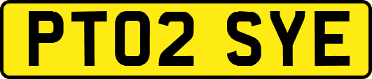 PT02SYE