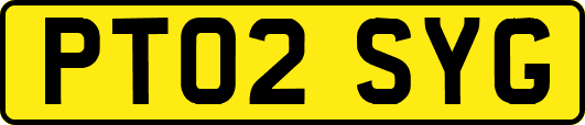 PT02SYG