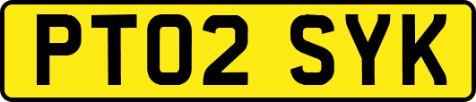 PT02SYK
