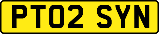 PT02SYN