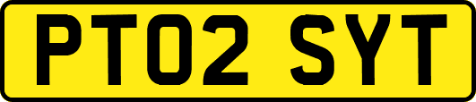 PT02SYT
