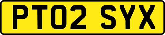 PT02SYX