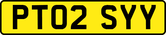 PT02SYY