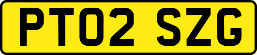 PT02SZG