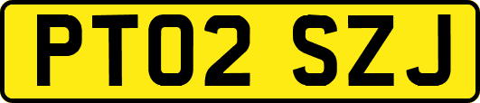 PT02SZJ