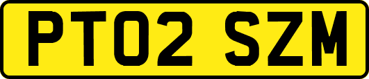 PT02SZM