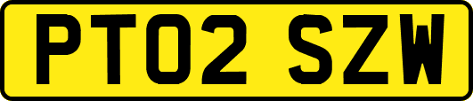 PT02SZW