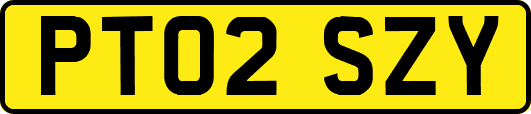 PT02SZY