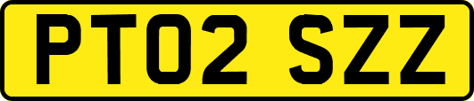 PT02SZZ
