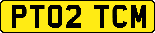 PT02TCM