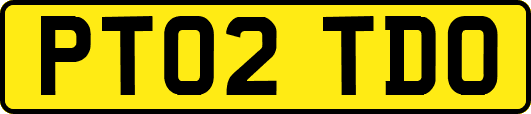 PT02TDO