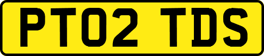 PT02TDS