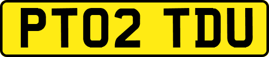 PT02TDU