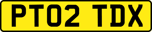 PT02TDX