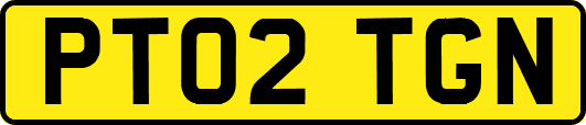 PT02TGN