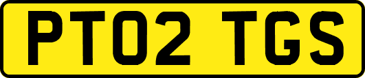 PT02TGS