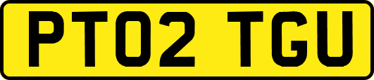 PT02TGU