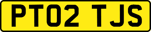 PT02TJS