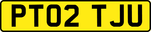 PT02TJU