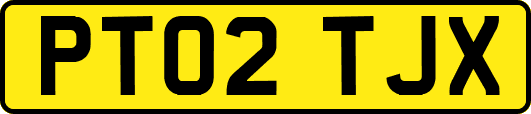 PT02TJX