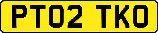 PT02TKO