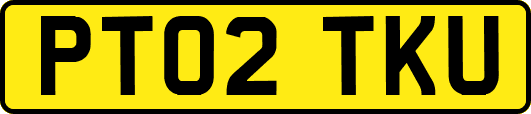 PT02TKU