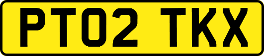 PT02TKX