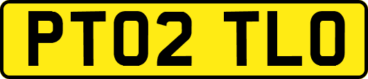 PT02TLO