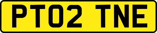 PT02TNE