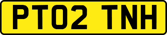 PT02TNH