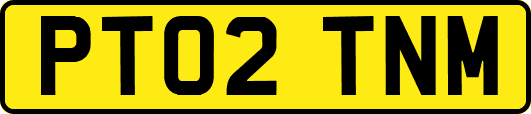 PT02TNM