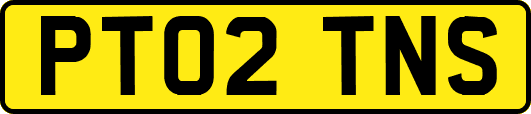 PT02TNS