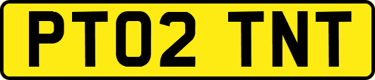 PT02TNT