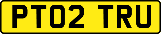 PT02TRU