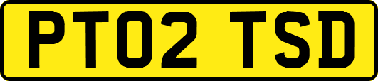 PT02TSD