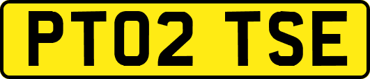 PT02TSE