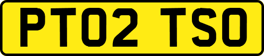 PT02TSO