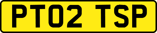 PT02TSP