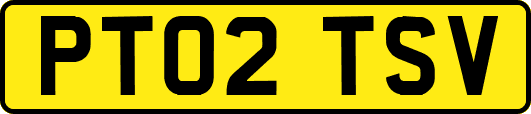 PT02TSV