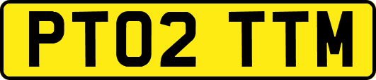 PT02TTM