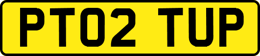PT02TUP
